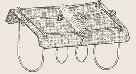 The Fenn double catch mole trap